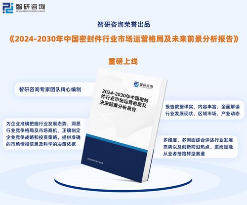 2024版中國密封件行業(yè)市場分析研究報告