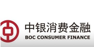 中銀消費金融有限公司 專業(yè)的金融中介服務(wù)提供商